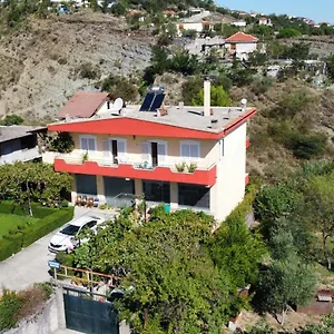 https://the-palm.albaniahotels.org